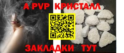шишки Гай