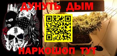 ешки Гатчина