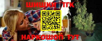 шишки Гай