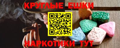 шишки Гай
