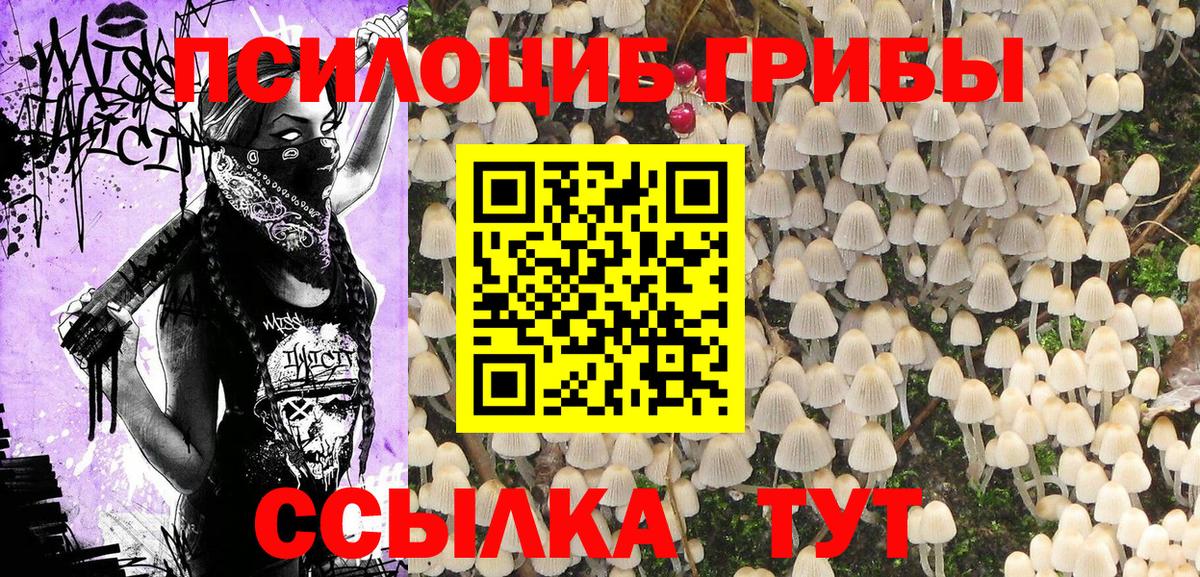 Галлюциногенные грибы ЛСД  Вход с VPN  где купить наркоту  Киржач 
