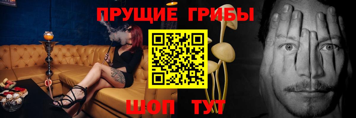 Галлюциногенные грибы Cubensis Киржач